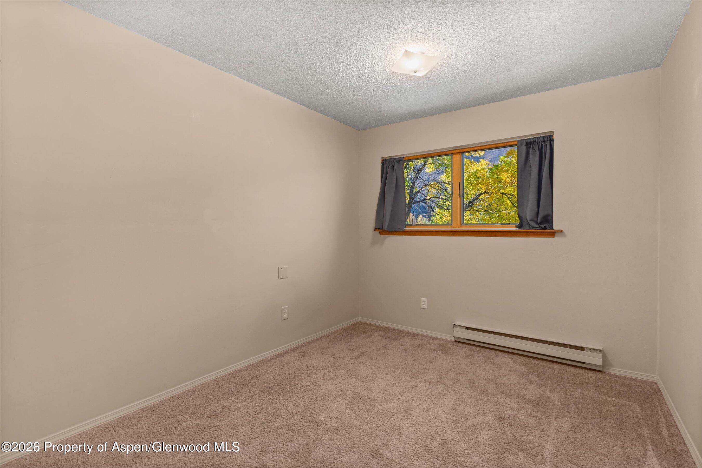 198 Holland Hills Road Basalt, CO 81621 - Photo 41 of 50 an empty room with wall painting and windows