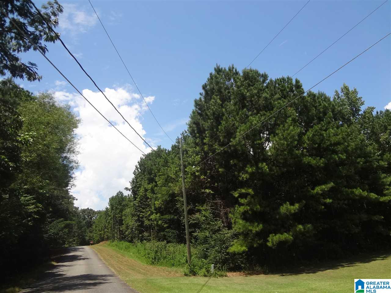 0 Beaver Ridge Circle, Unit 7 Ashville, AL 35953 - Photo 4 of 5