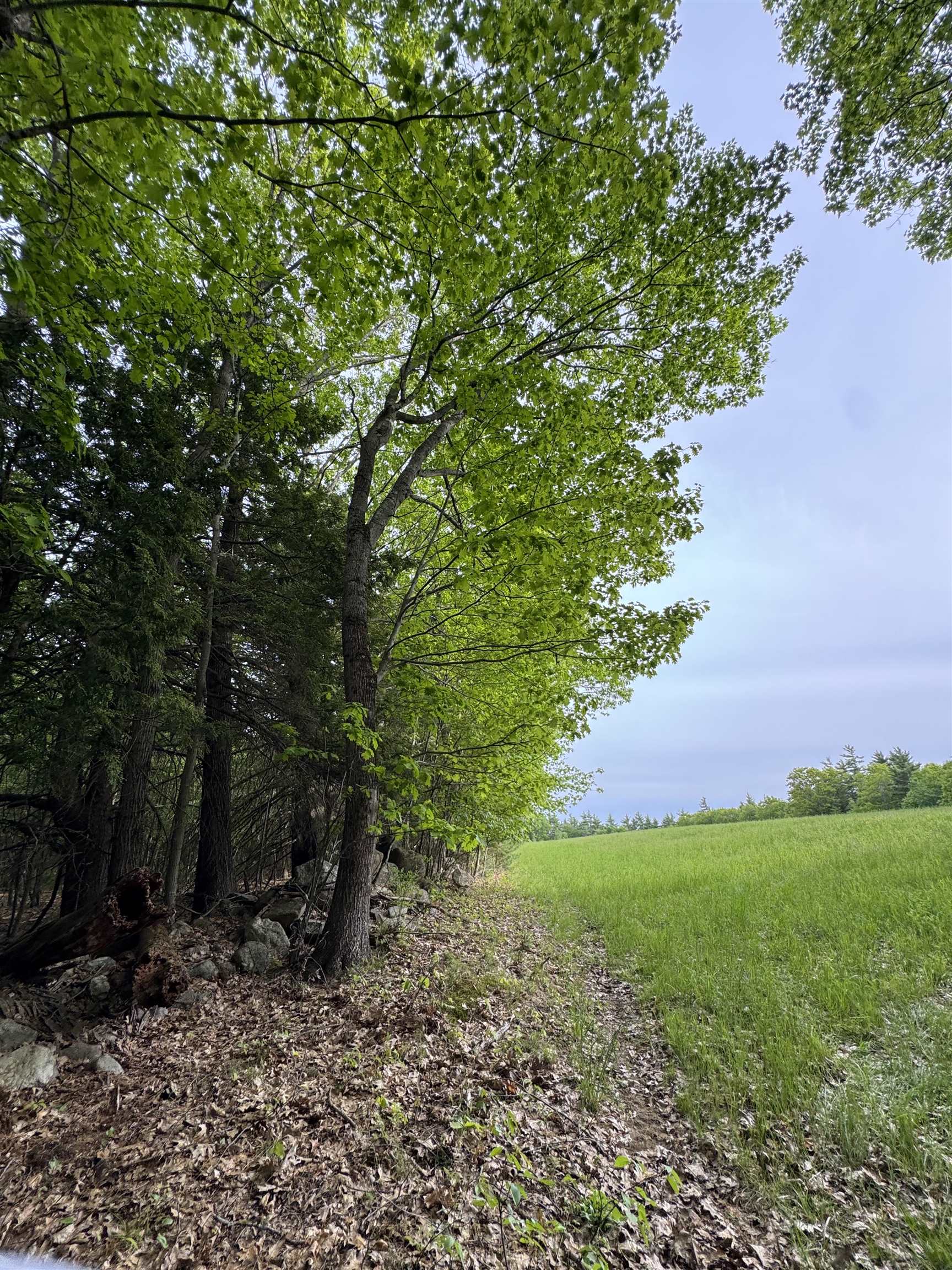 107 Greenfield Road New Boston, NH 03070 - Photo 33 of 59