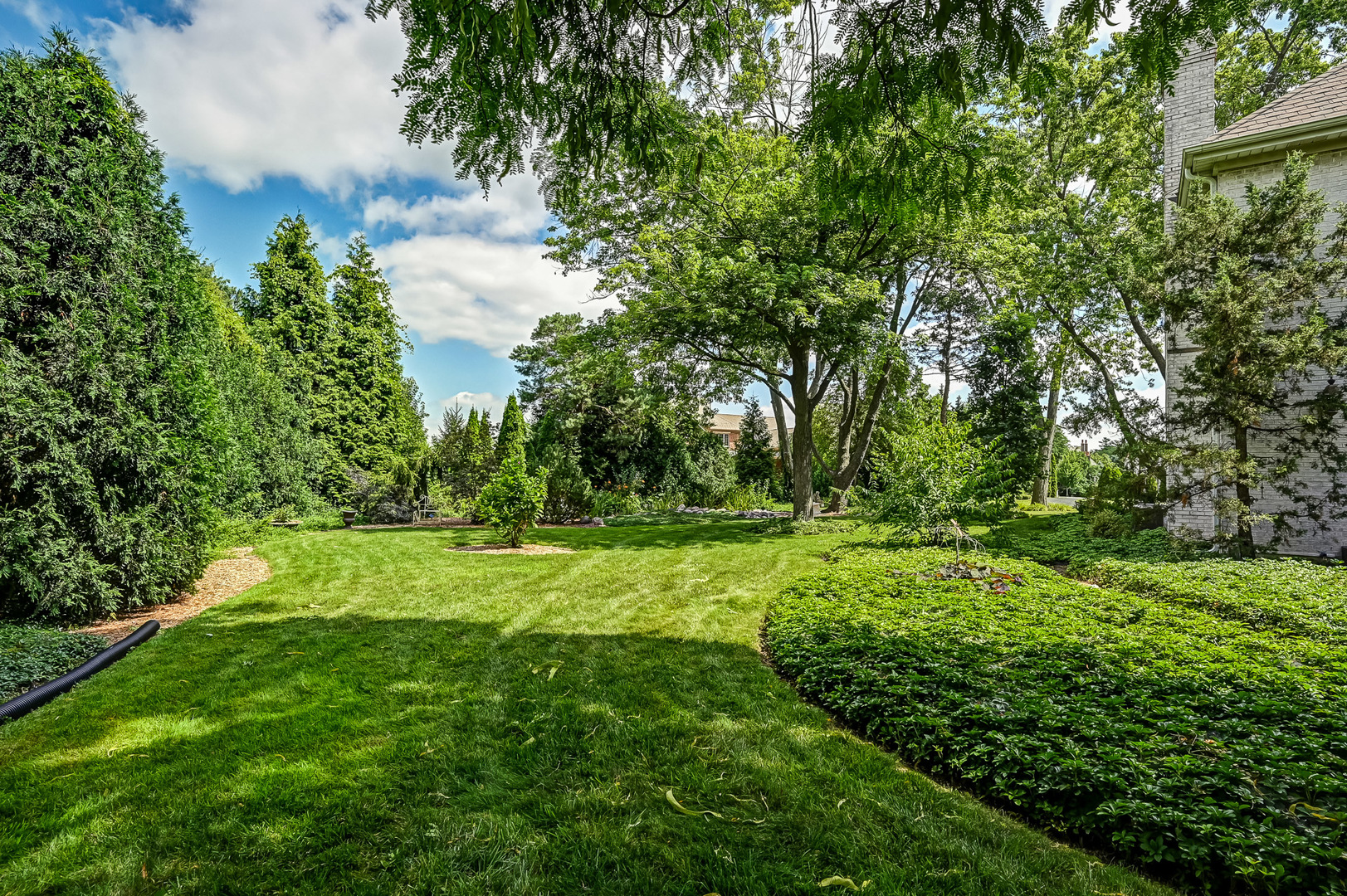 540 Ridgemoor Drive Willowbrook, IL 60527 - Photo 38 of 62 a view of a grassy field with trees in the background