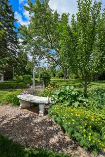 a view of a garden with an outdoor space
