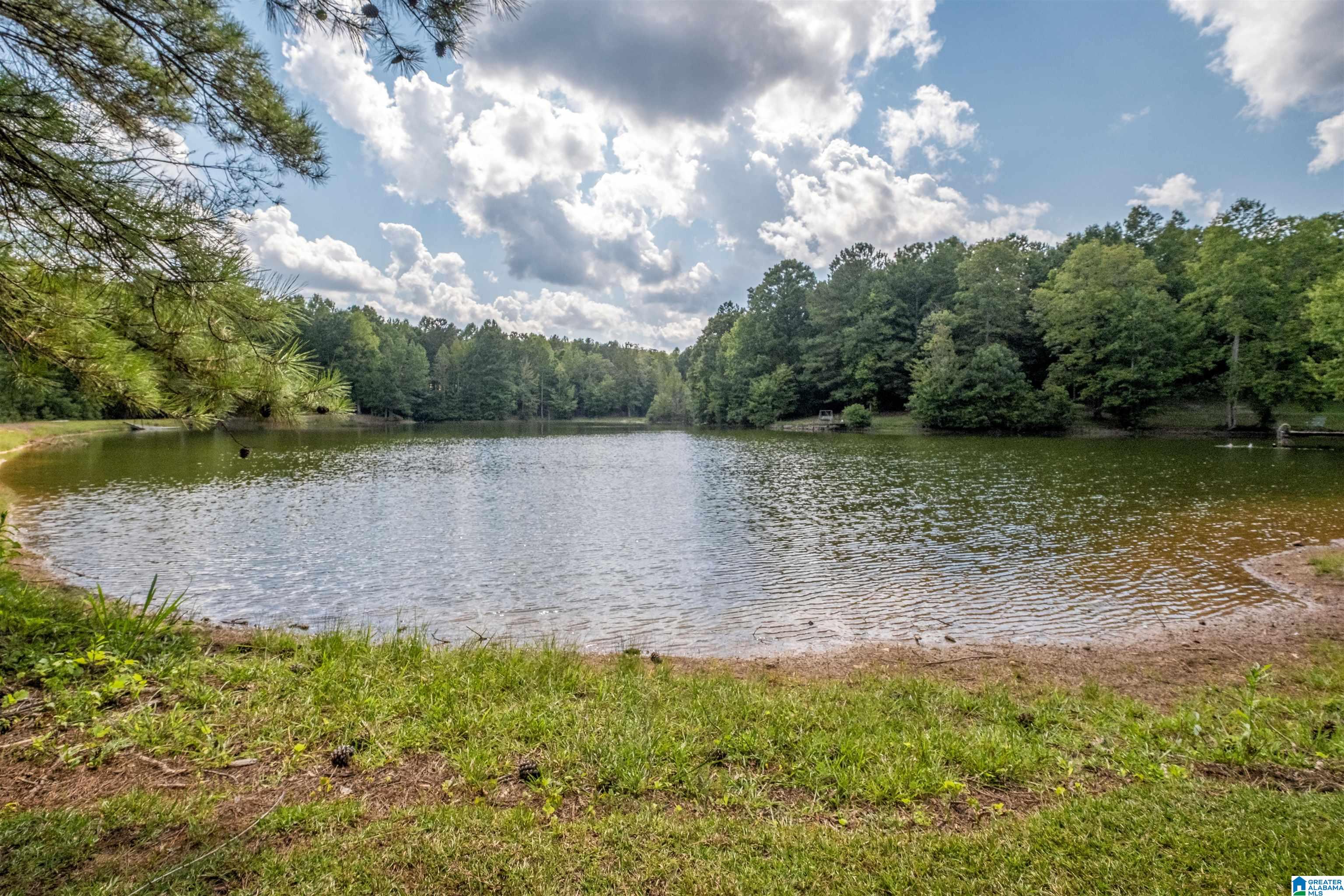 128 County Road 928, Unit 14 Delta, AL 36258 - Photo 14 of 30