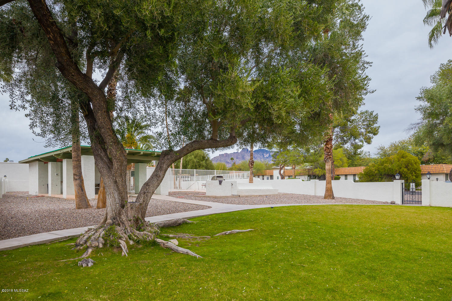 600 East River Road, Unit F Tucson, AZ 85704 - Photo 27 of 29