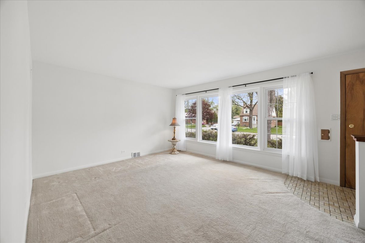748 North Rohde Avenue Hillside, IL 60162 - Photo 4 of 22