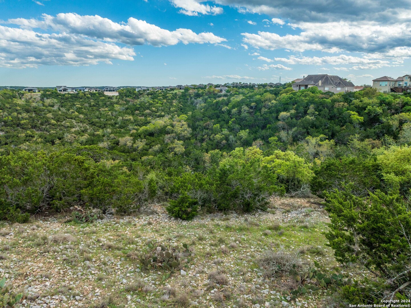 115 Towne View Circle Boerne, TX 78006 - Photo 13 of 19 a view of a green yard with lots of trees