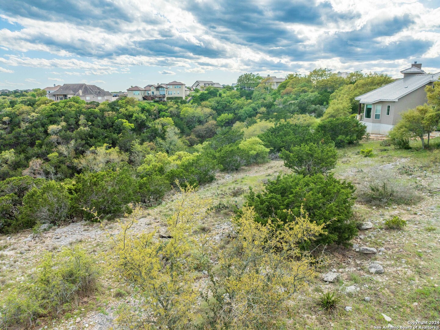 115 Towne View Circle Boerne, TX 78006 - Photo 7 of 19 a view of a big yard with plants and a bench
