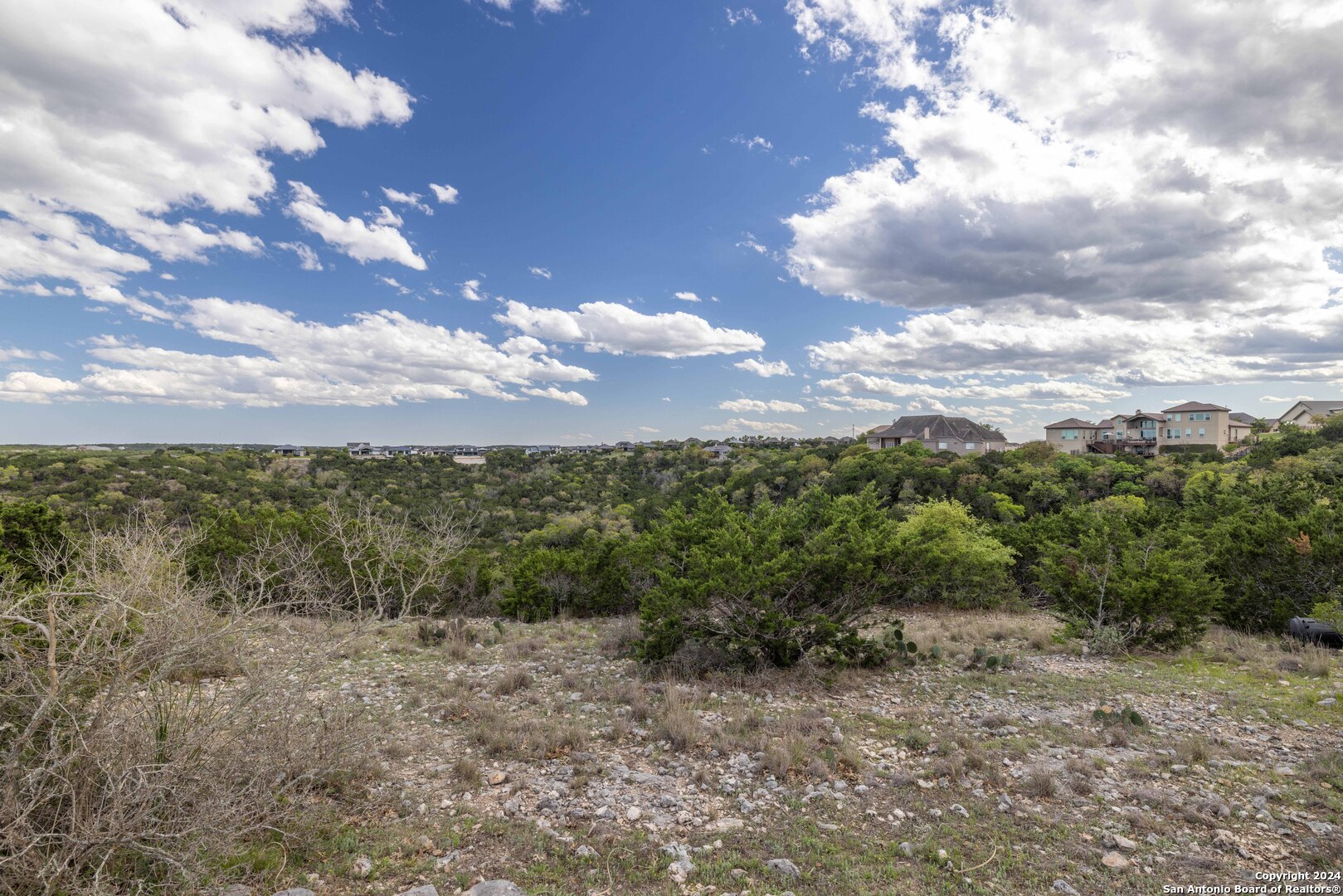 115 Towne View Circle Boerne, TX 78006 - Photo 10 of 19 a view of a bunch of trees