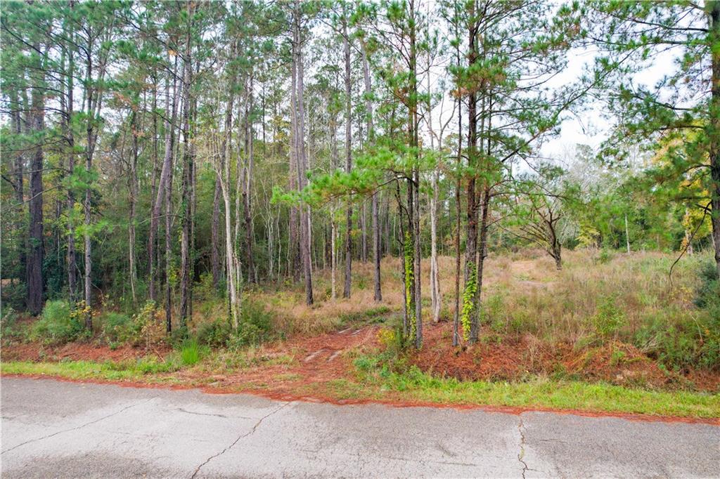 433 Secluded Grove Loop Madisonville, LA 70447 - Photo 4 of 7