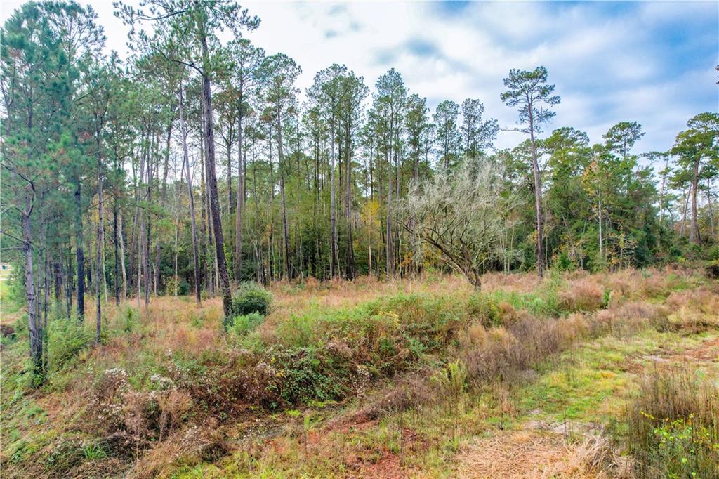 433 Secluded Grove Loop Madisonville, LA 70447 - Photo 7 of 7