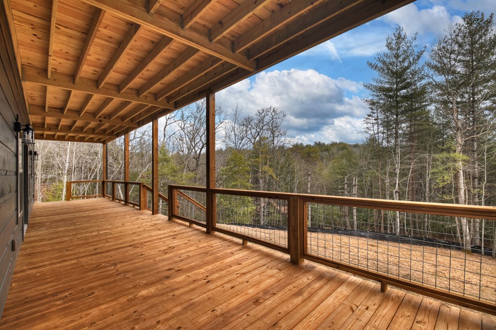 232 Red Tail Lane Morganton, GA 30560 - Photo 41 of 42