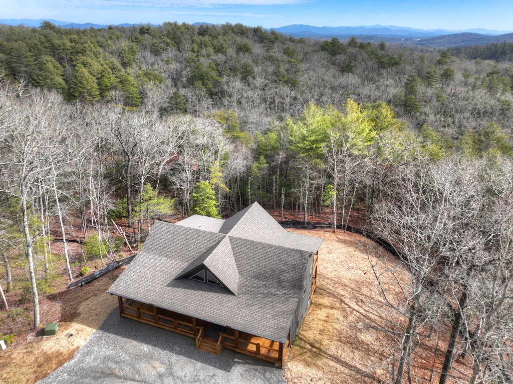 232 Red Tail Lane Morganton, GA 30560 - Photo 5 of 42