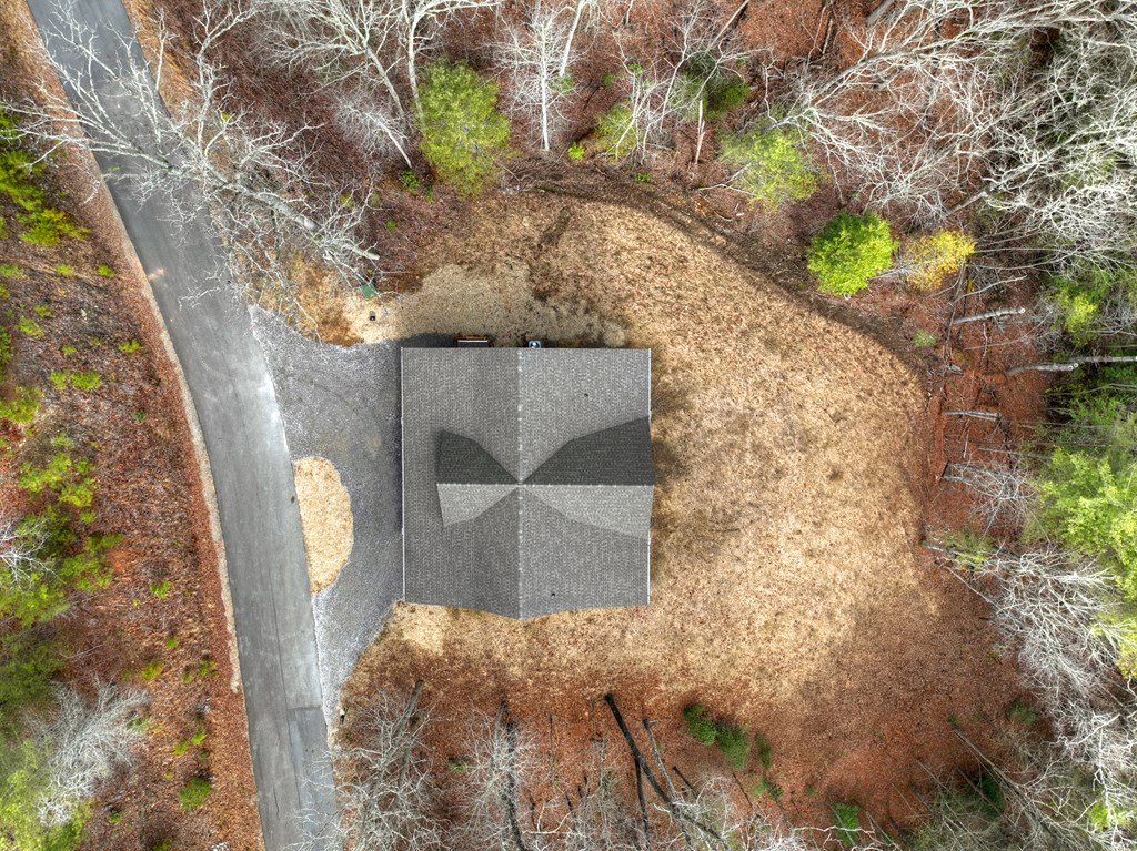 232 Red Tail Lane Morganton, GA 30560 - Photo 6 of 42