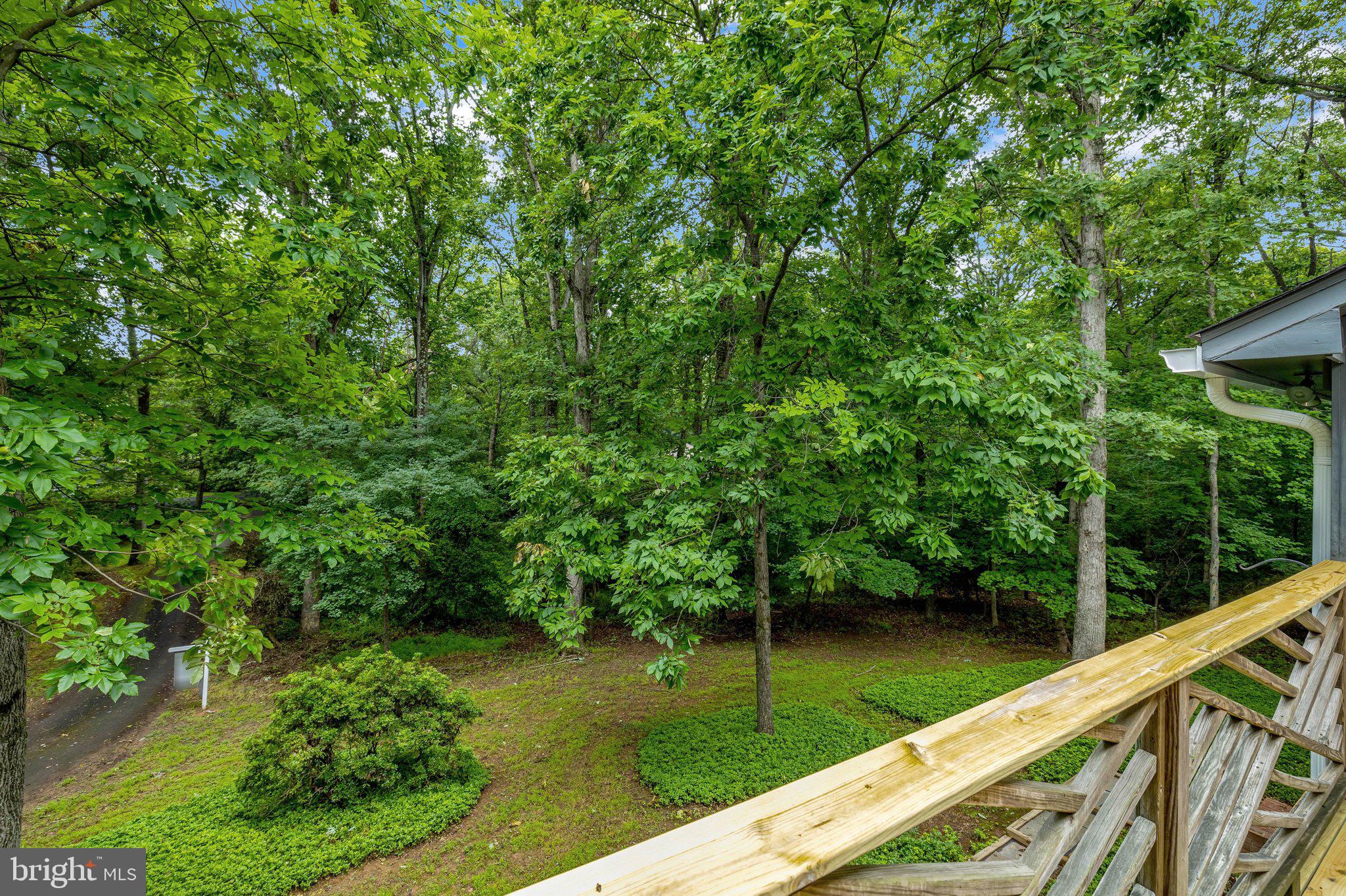 1132 Springvale Road Great Falls, VA 22066 - Photo 45 of 81 Serene woodland retreat awaits you.