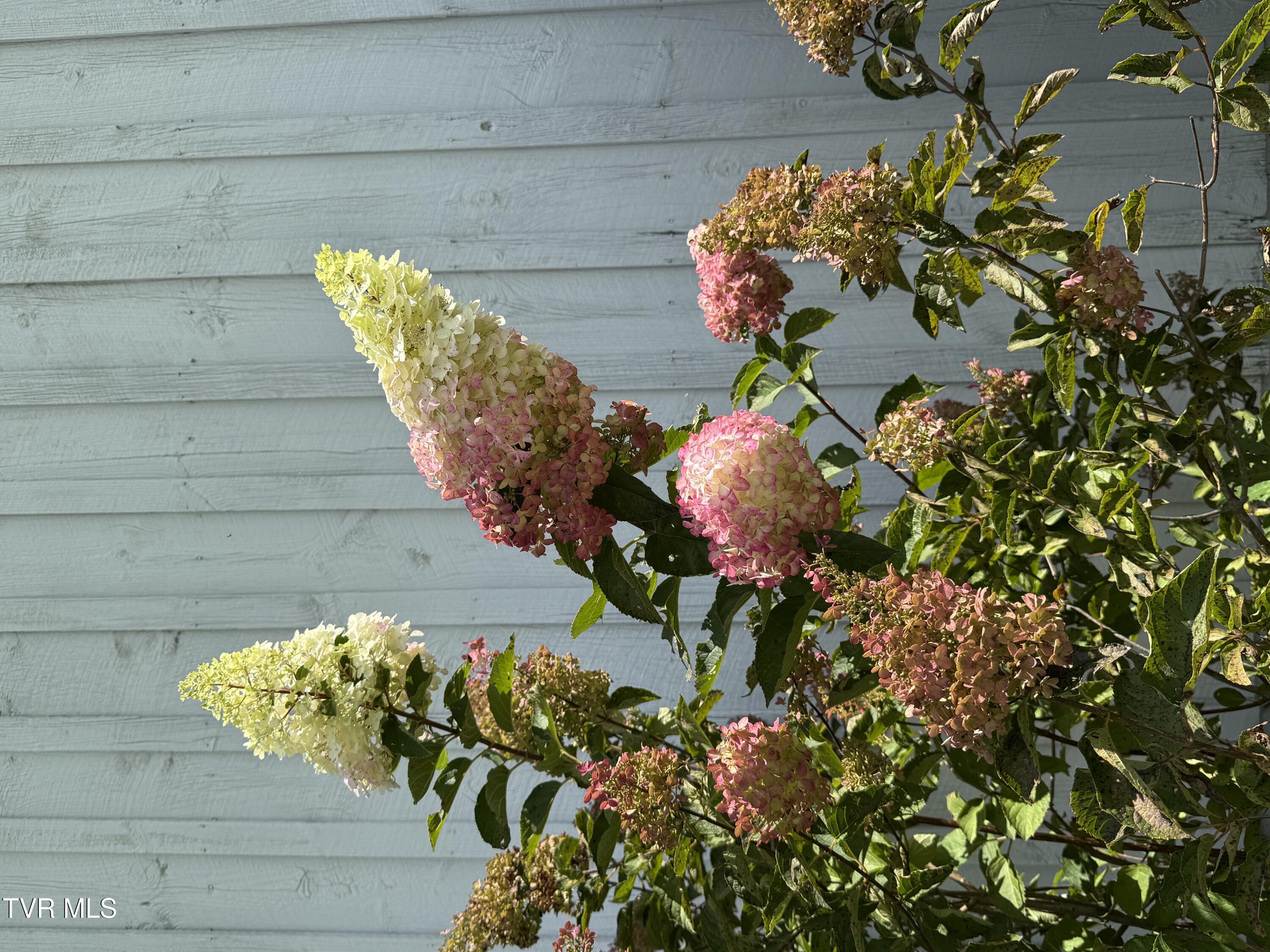 931 Providence Road Limestone, TN 37681 - Photo 30 of 77 IMG_1148