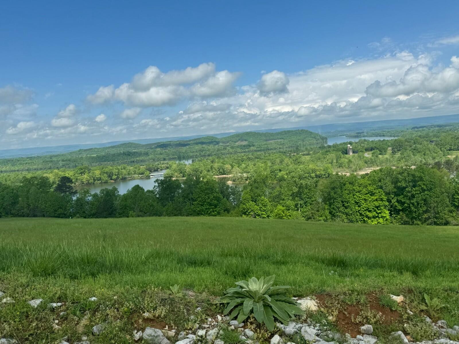 44 Mill Drive Decatur, TN 37322 - Photo 2 of 11 a view of a green field