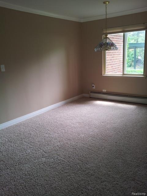 11378 Canal Road Sterling Heights, MI 48314 - Photo 18 of 20 20140625_140923.jpg