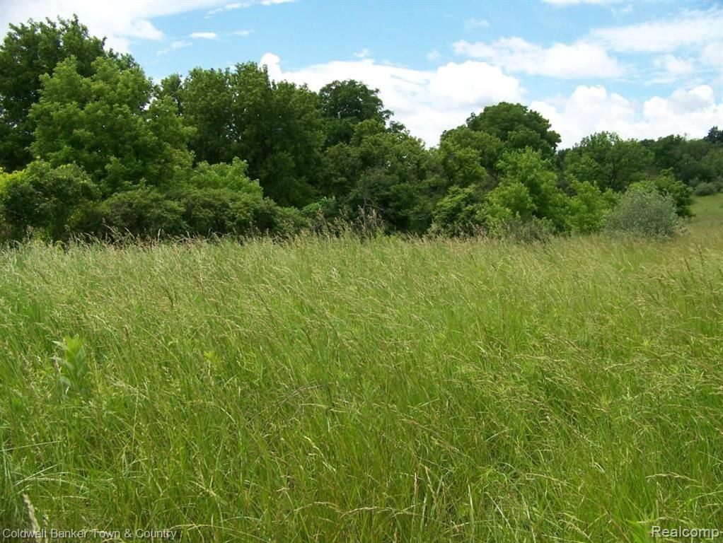 8101 Whitney Road Gaines, MI 48436 - Photo 28 of 57 Gallery Image 28