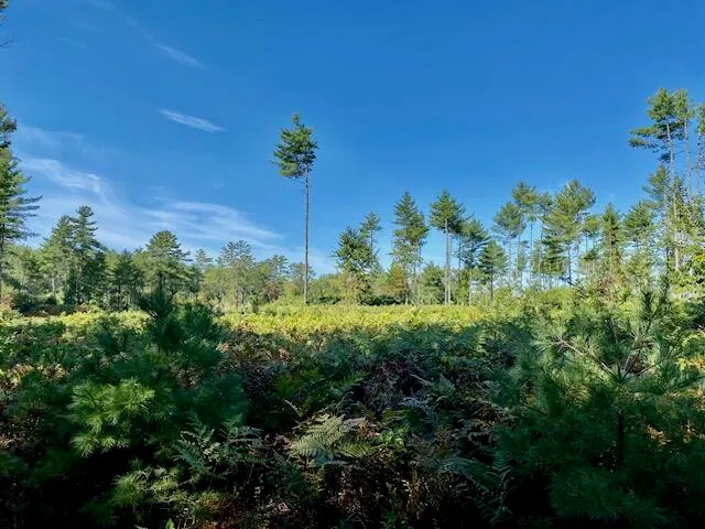 $235,000 | 0 Harvest Way, Brownfield, ME 04010