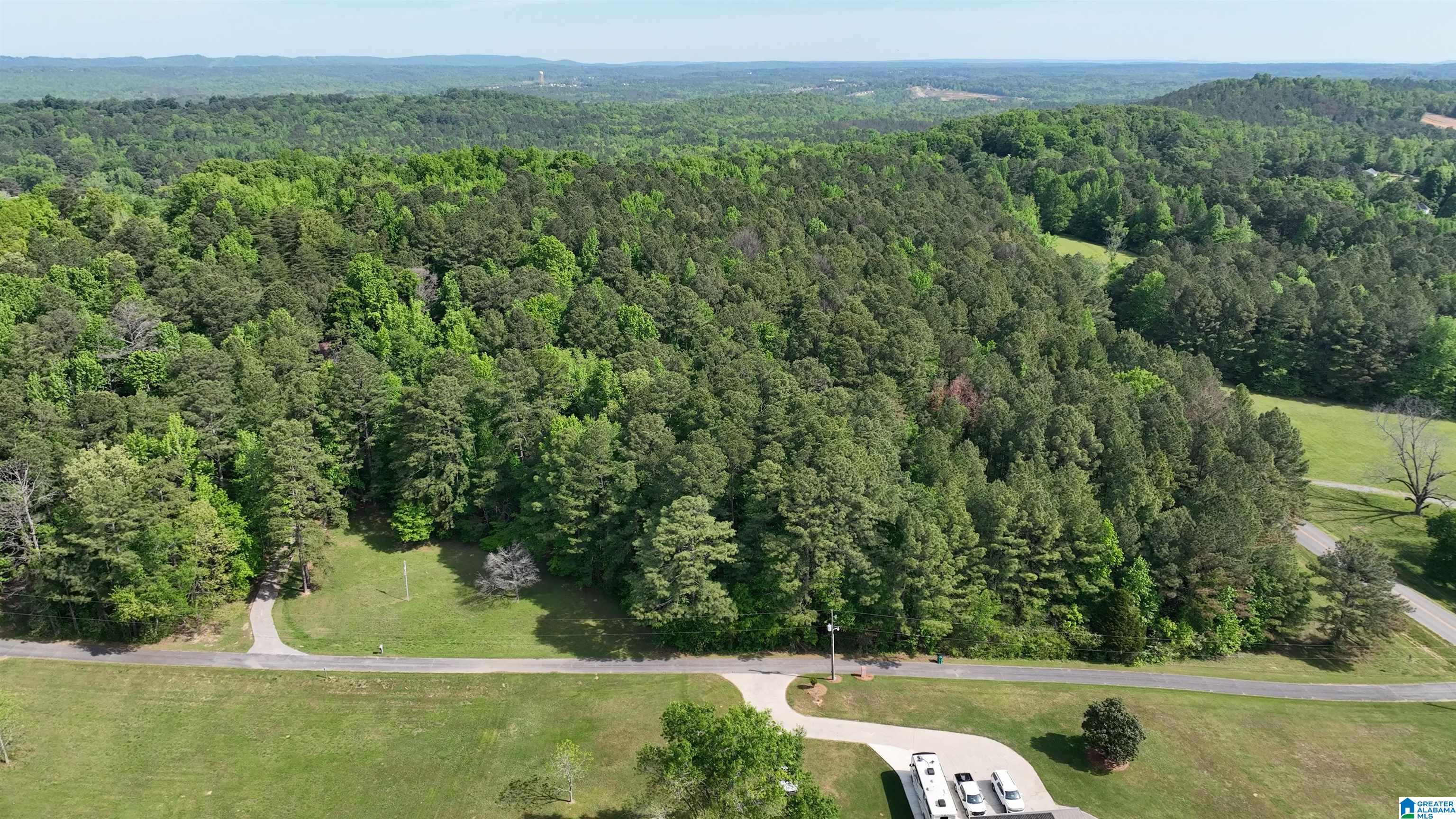0 Old Sawmill Road, Unit 1 72 / ACRES Moody, AL 35004 - Photo 1 of 6