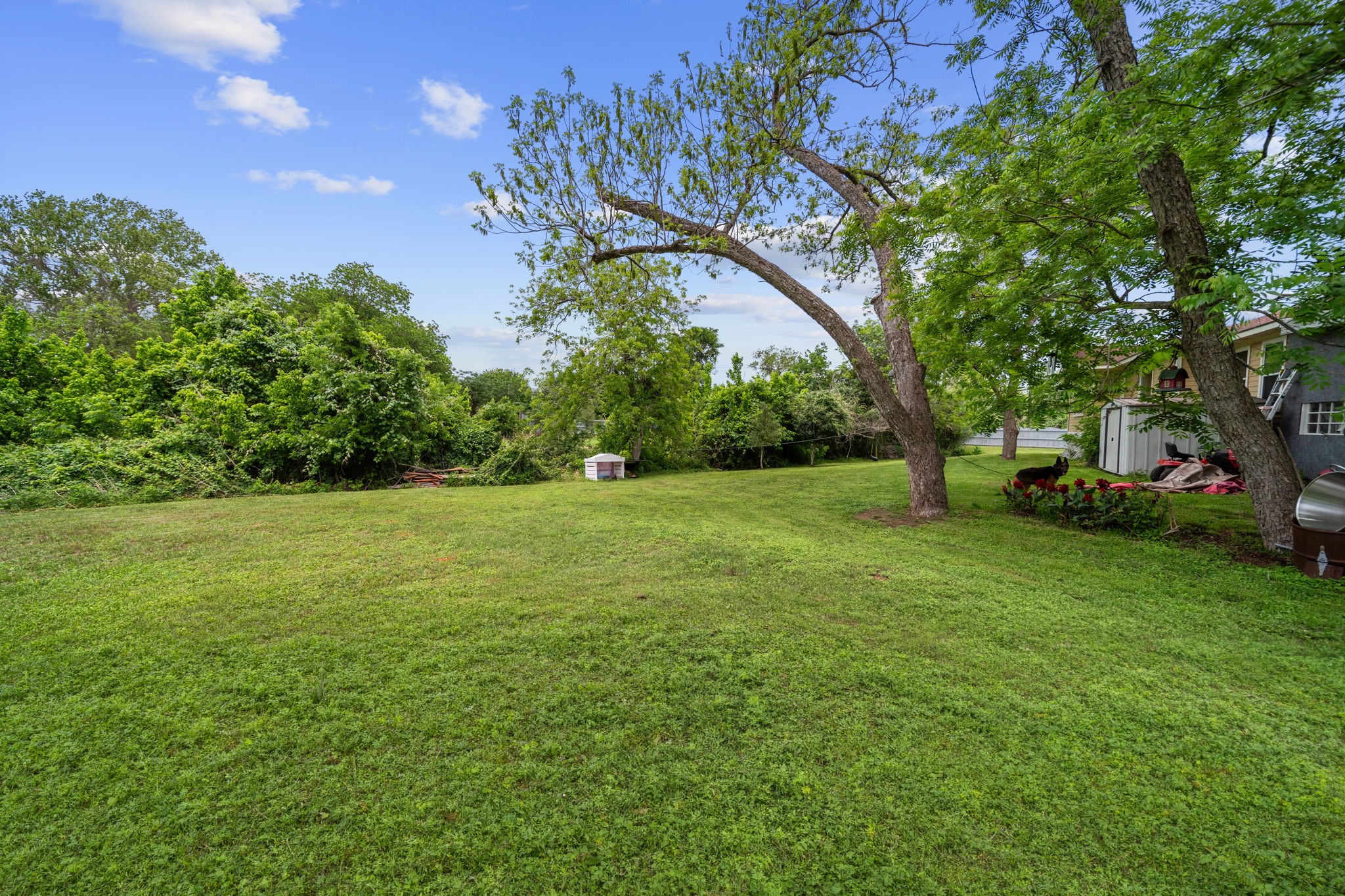 202 Sweed Street Brenham, TX 77833 - Photo 24 of 34 a view of garden with trees