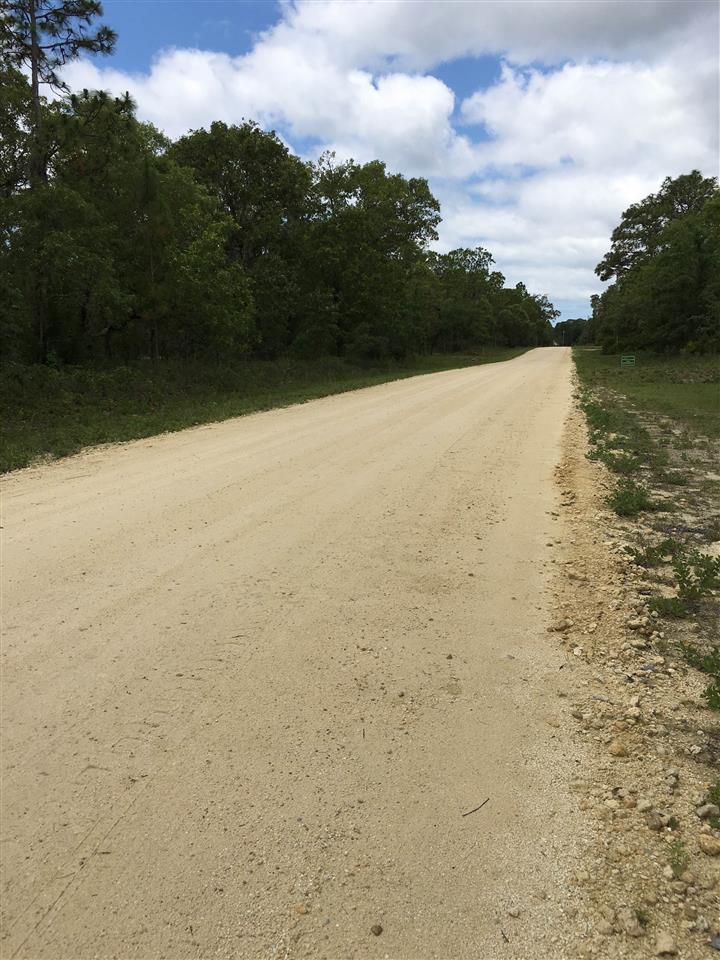 Lot 145 Turkey Oak Road, Unit 145 Perry, FL 32348 - Photo 3 of 5 Gallery Image 3