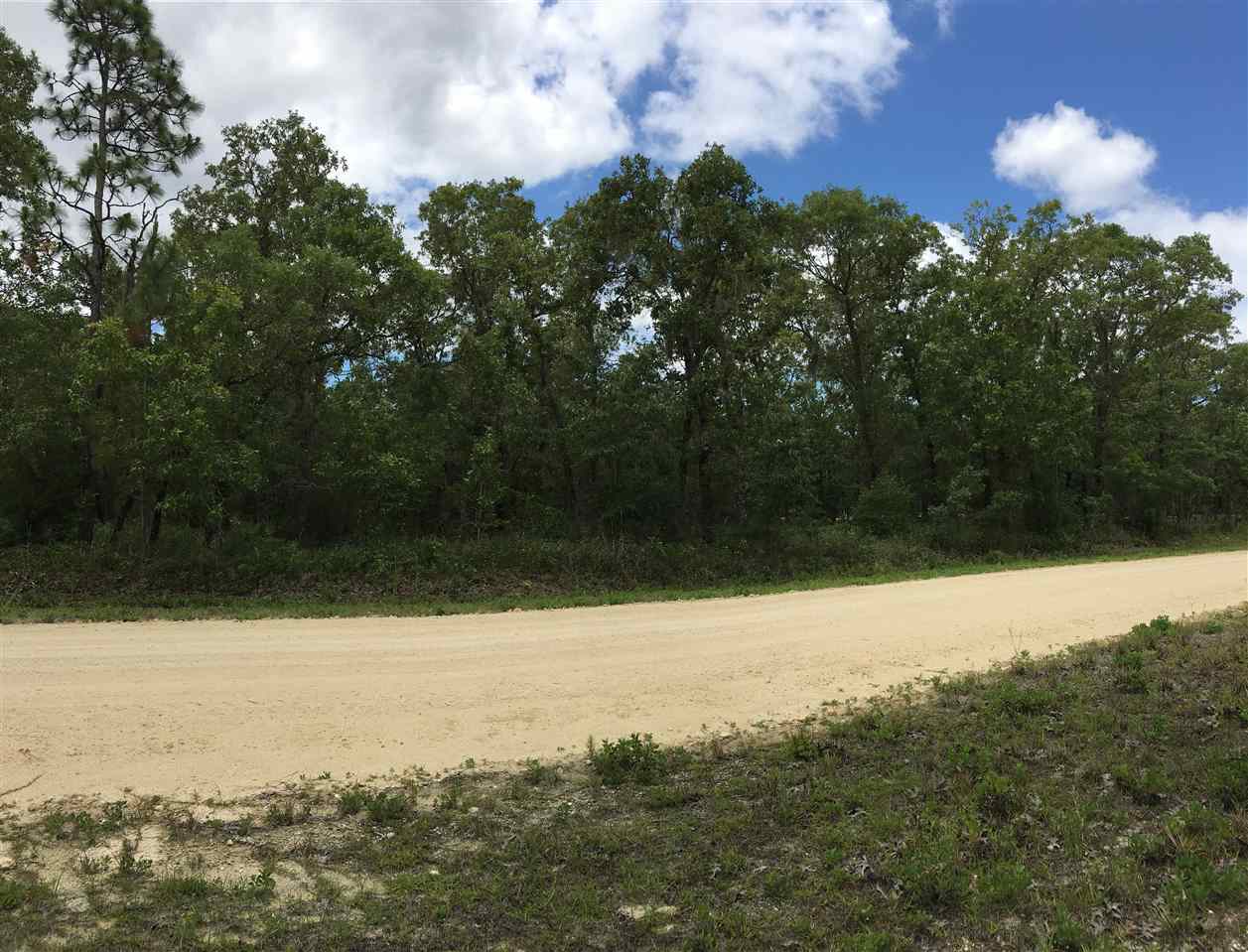 Lot 145 Turkey Oak Road, Unit 145 Perry, FL 32348 - Photo 4 of 5 Gallery Image 4