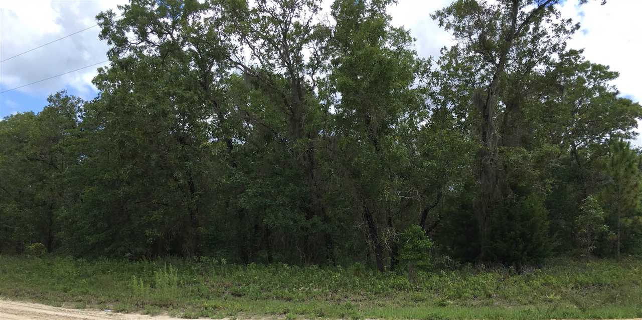 Lot 145 Turkey Oak Road, Unit 145 Perry, FL 32348 - Photo 5 of 5 Gallery Image 5