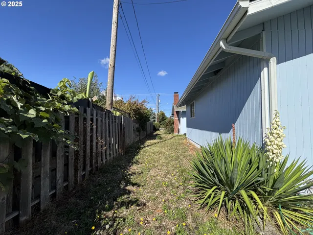 a view of a backyard with plants