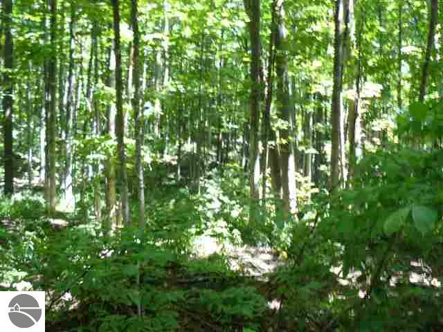 2144 North Jacobson Road, Unit LOT: 4 Suttons Bay, MI 49682 - Photo 7 of 7