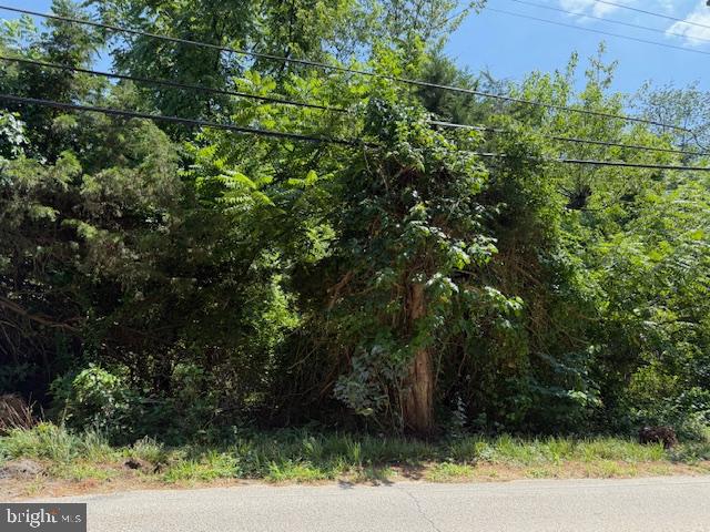 159 Norcross Road Berlin, NJ 08009 - Photo 1 of 1 a view of a yard