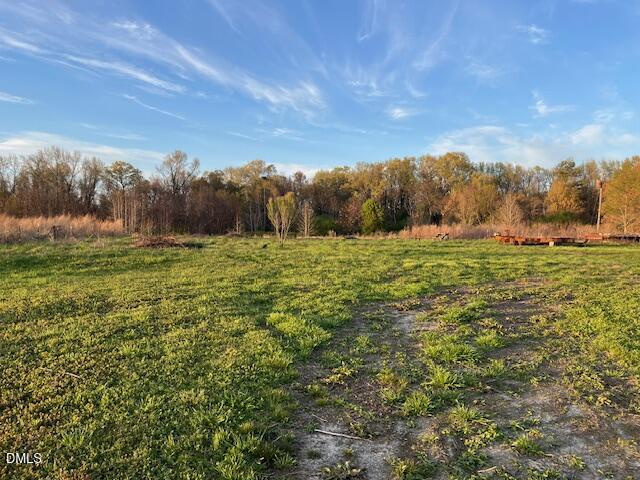 0 Wilson Road Clinton, NC 28328 - Photo 1 of 6 a view of an outdoor space and a yard