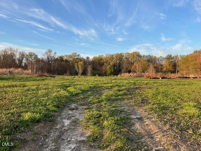 0 Wilson Road Clinton, NC 28328 - Photo 6 of 6 a view of a field with an trees