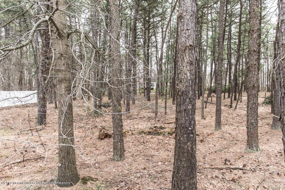 639 Reed Road Jackson, NJ 08527 - Photo 40 of 50 639 39