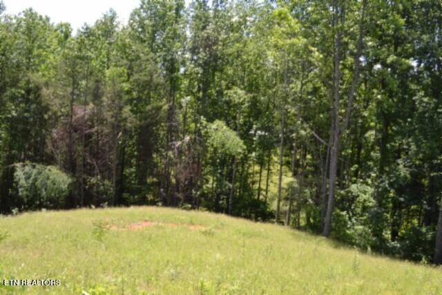 2390 Pea Ridge Fire Tower Road Celina, TN 38551 - Photo 10 of 58 DSC_0077