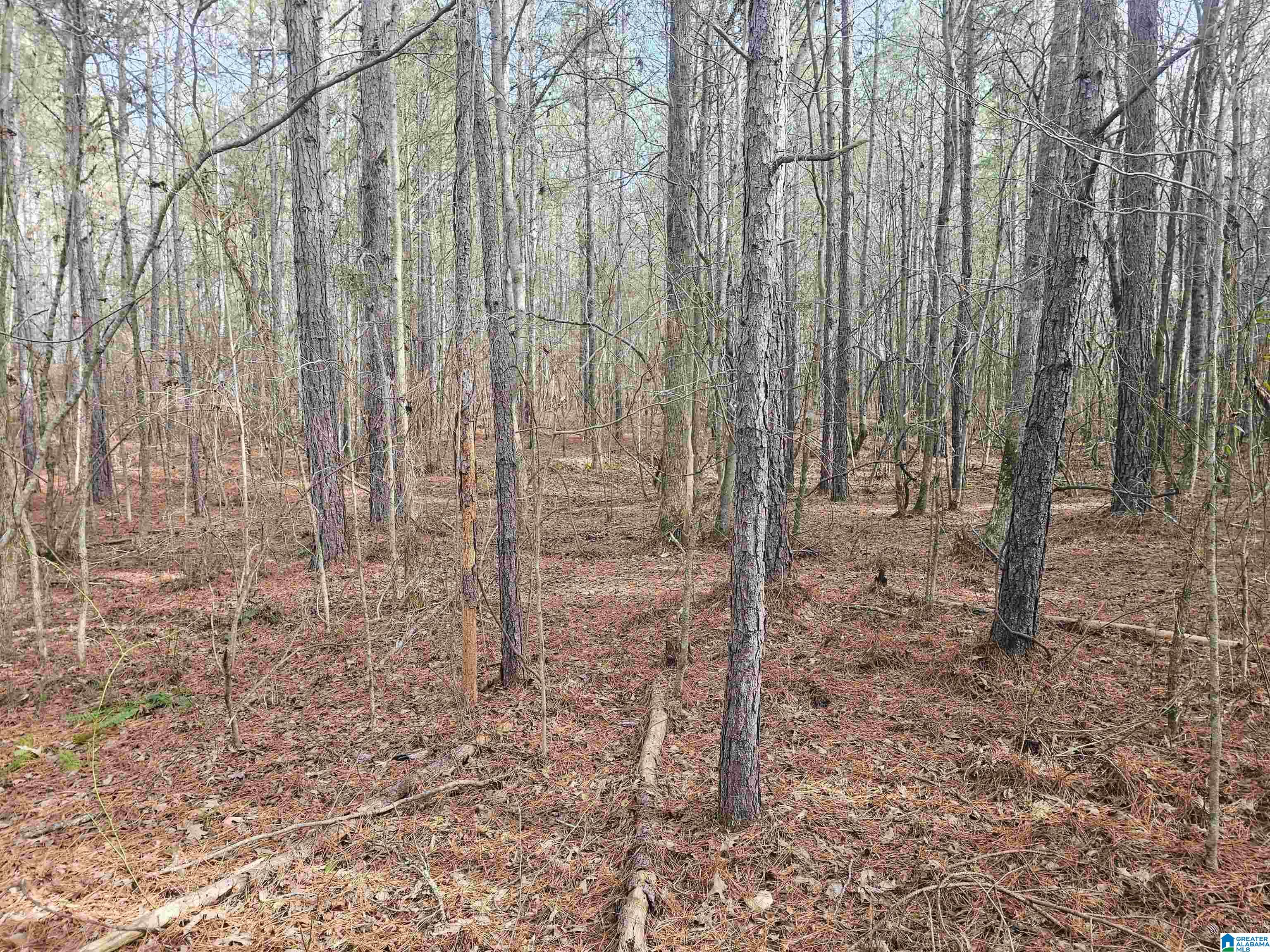 15 County Road 15, Unit 3 92 Heflin, AL 36264 - Photo 8 of 11