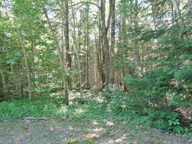 94 Caler Road Columbia Falls, ME 04623 - Photo 35 of 36 DSC03966