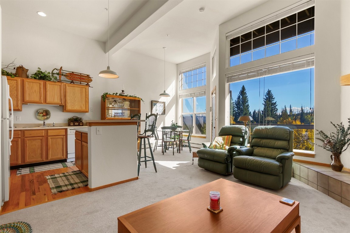 91299 Ryan Gulch Road, Unit A4 Wildernest, CO 80498 - Photo 5 of 30 a living room with furniture and a window