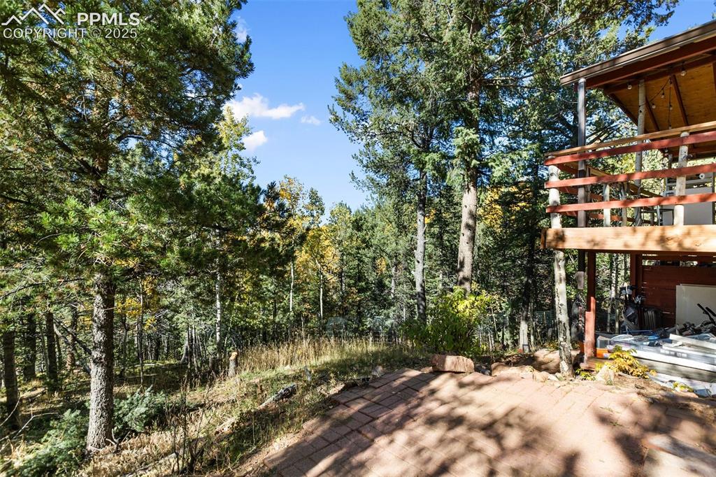 679 Calcite Drive Divide, CO 80814 - Photo 34 of 35
