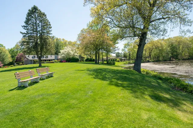a view of a park with trees and grass