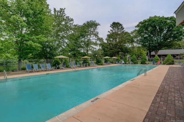 a view of a park with trees and plants