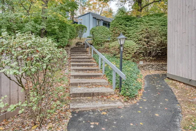 a view of a yard with plants and large trees