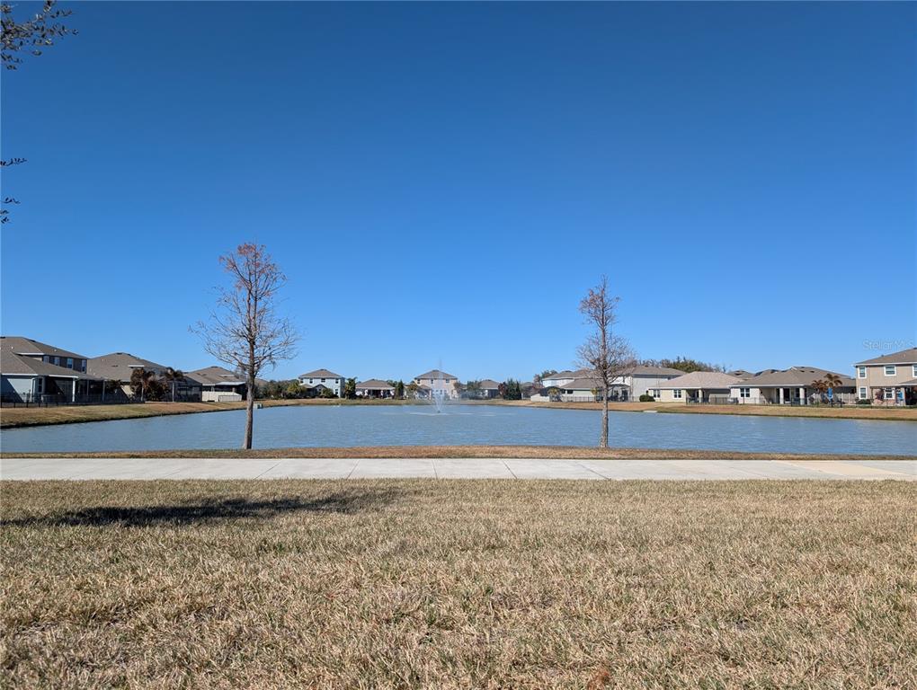 1073 Montgomery Bell Road Wesley Chapel, FL 33543 - Photo 20 of 26