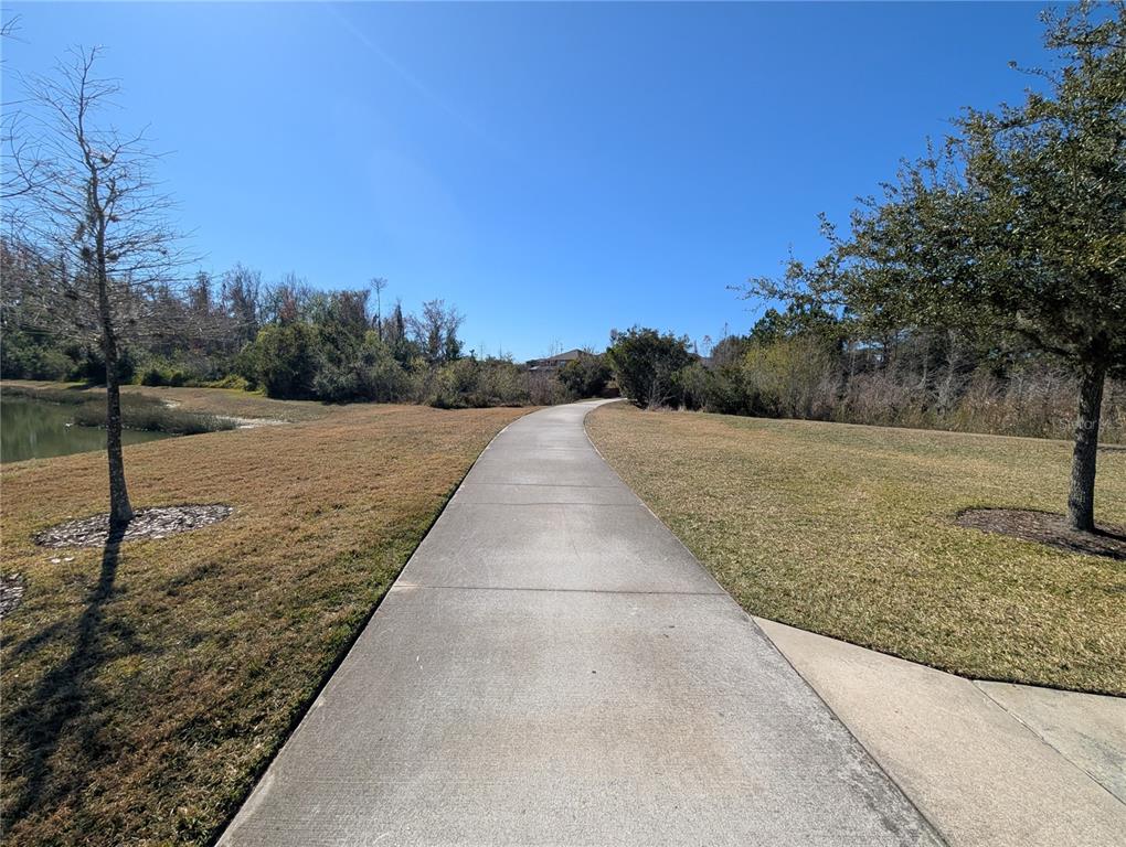 1073 Montgomery Bell Road Wesley Chapel, FL 33543 - Photo 26 of 26