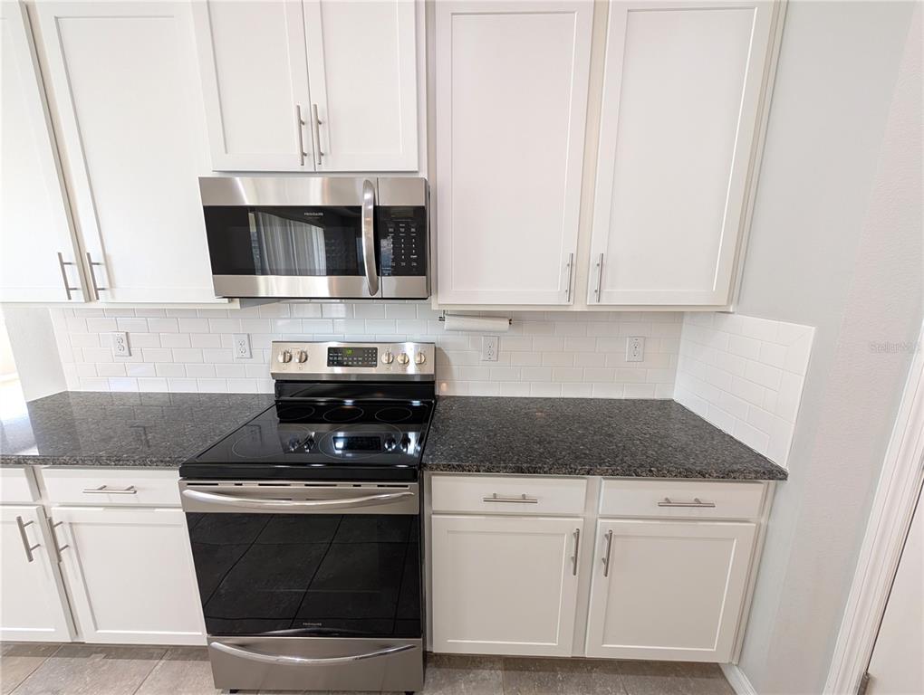 1073 Montgomery Bell Road Wesley Chapel, FL 33543 - Photo 7 of 26