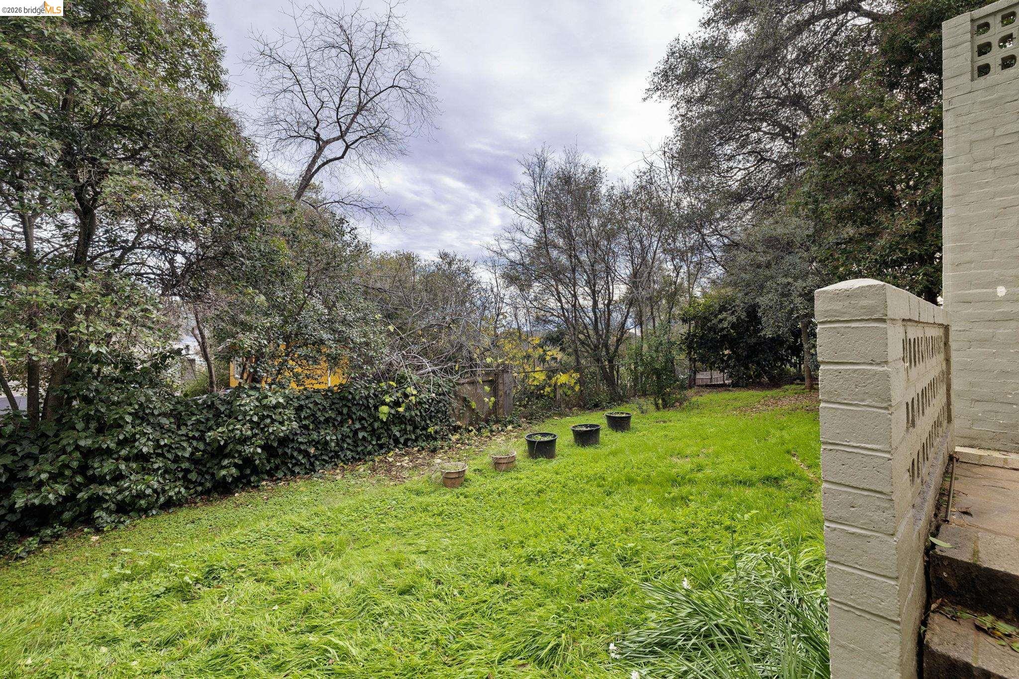 299 Summit Avenue Sonora, CA 95370 - Photo 22 of 38 View of green lawn featuring view of scattered trees