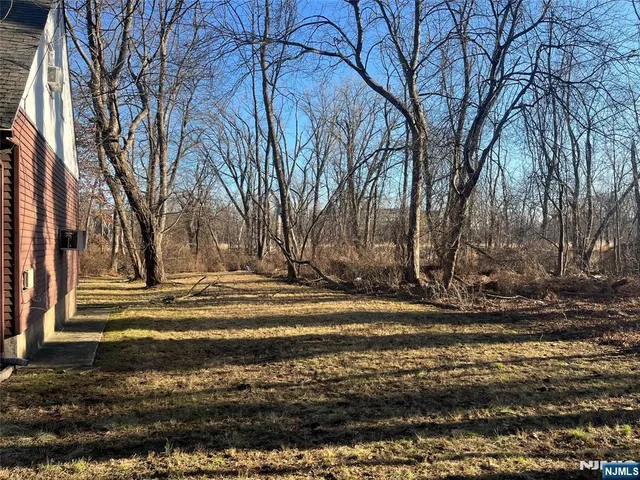 a view of street view with large trees