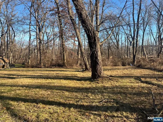 a view of backyard with trees