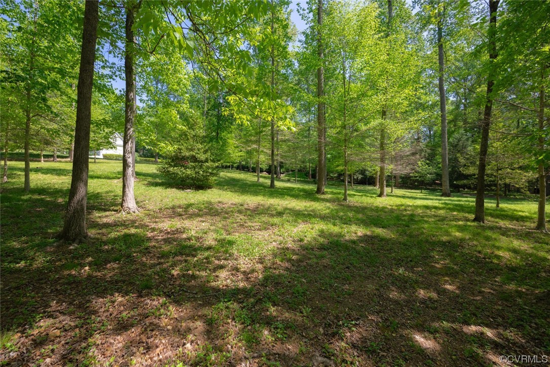 26 Mystic Road Richmond, VA 23238 - Photo 12 of 22 a view of a park with large trees