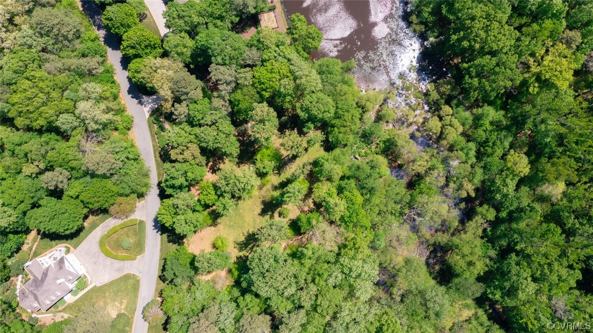 26 Mystic Road Richmond, VA 23238 - Photo 18 of 22 a close up of a plant in a garden