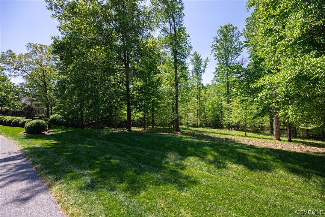 26 Mystic Road Richmond, VA 23238 - Photo 3 of 22 a view of a park with large trees